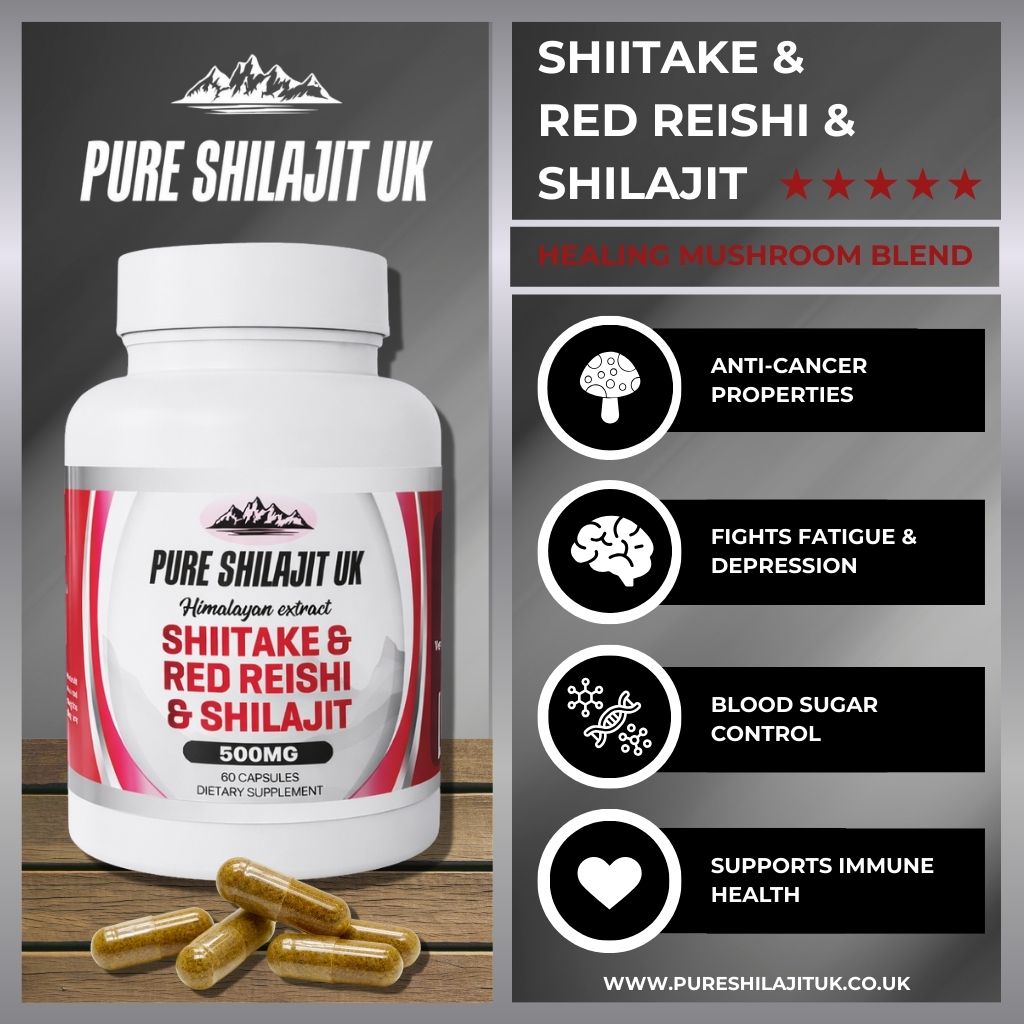 Red Reishi, Shiitake & Shilajit Capsules | Immunity, Heart Health & Longevity | 60-720 Caps