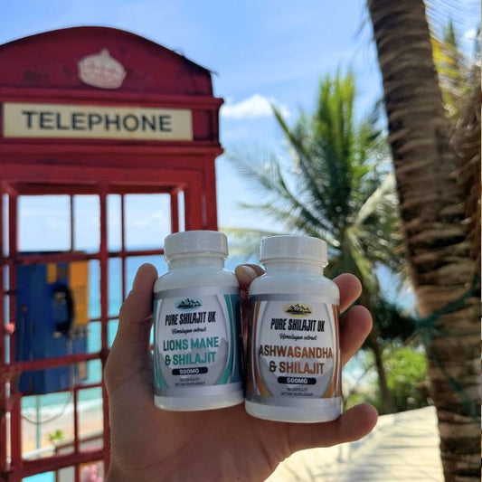 Shilajit Resin 60g + Ashwagandha & Shilajit Capsules 120 | Testosterone & Energy Bundle