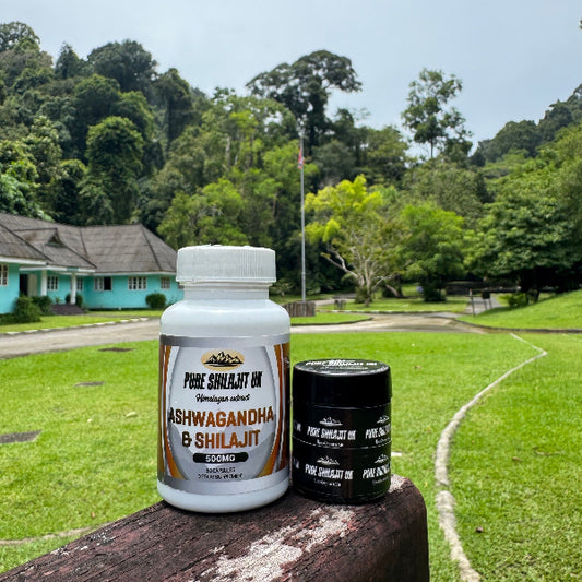 Shilajit Resin 60g + Ashwagandha & Shilajit Capsules 120 | Testosterone & Energy Bundle