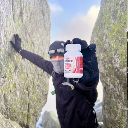 Red Reishi, Shiitake & Shilajit Capsules | Immunity, Heart Health & Longevity | 60-720 Caps