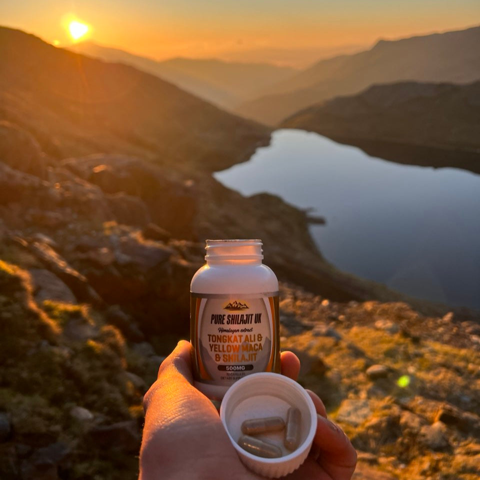 Pure Shilajit UK Extract Capsules - Tongkat Ali & Yellow Maca & Shilajit.