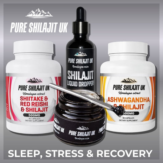 Sleep, Stress & Recovery Stack | Ashwagandha, Red Reishi & Shilajit | 3-Product Protocol