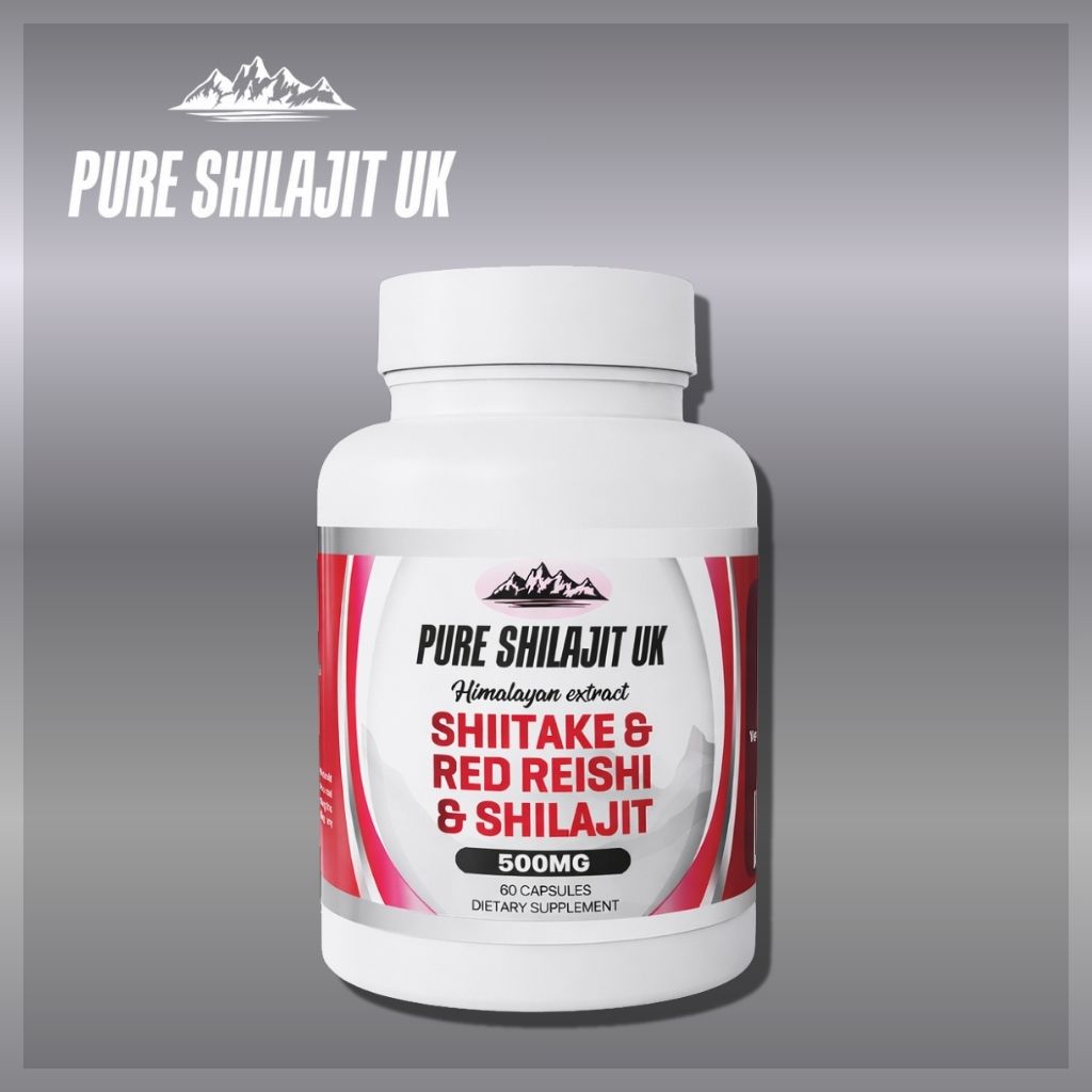 120 RED REISHI & SHIITAKE & SHILAJIT EXTRACT CAPSULES + 60G PURE SHILAJIT RESIN