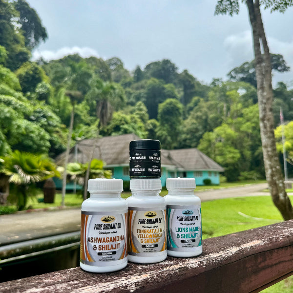 Complete Shilajit Experience Stack | Resin + Dropper + 2 Capsule Blends | Save £35.97