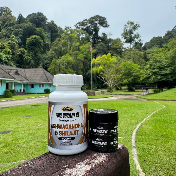 Shilajit Resin 60g + Ashwagandha & Shilajit Capsules 120 | Testosterone & Energy Bundle