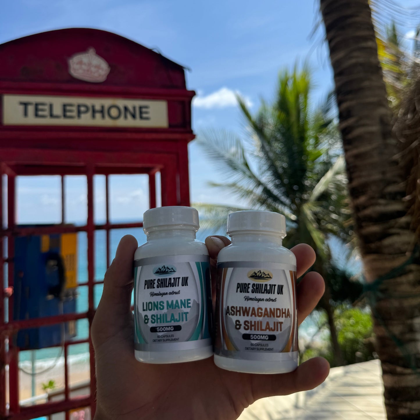 Lion's Mane & Shilajit Capsules | Brain Focus, Memory & NGF Support | 60-720 Caps